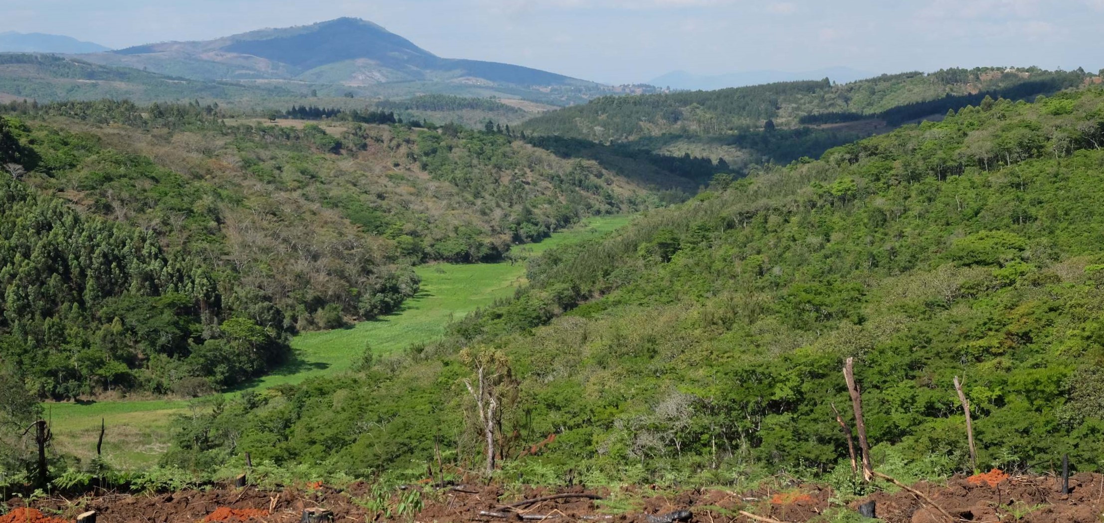 Du betrachtest gerade 20. März 2026 – Fahrt nach Kilolo