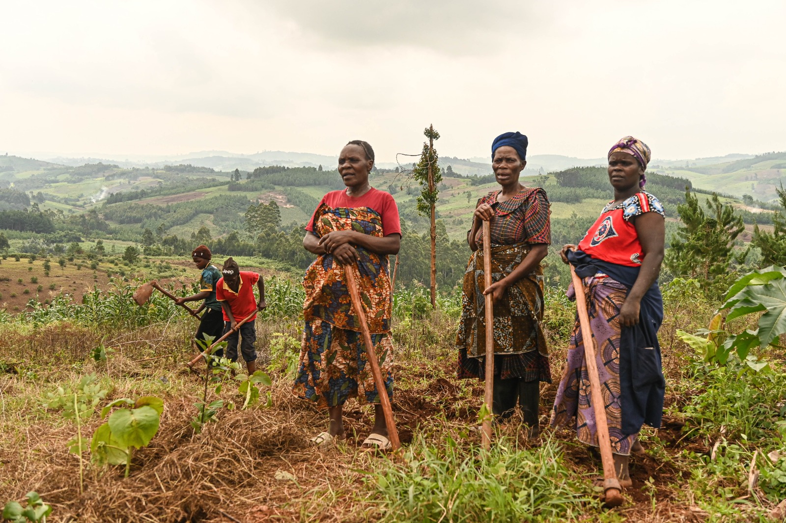 Du betrachtest gerade 19. März 2026 – Wieder auf dem Feld